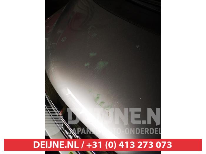 Honda Jazz Motorhaube O725818