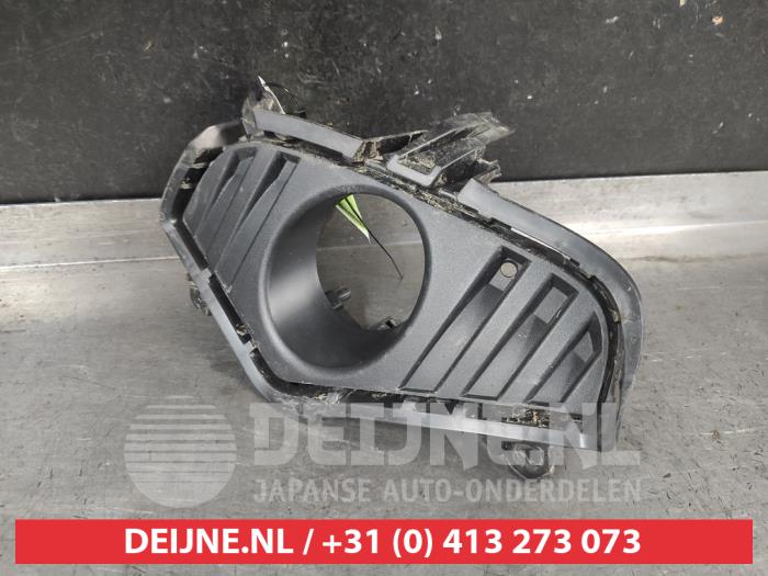 Toyota Rav-4 Bumper grille O726011