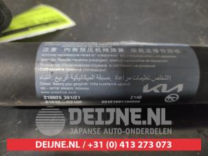 Kia Sportage Gasdemper links-achter O726940 foto 3