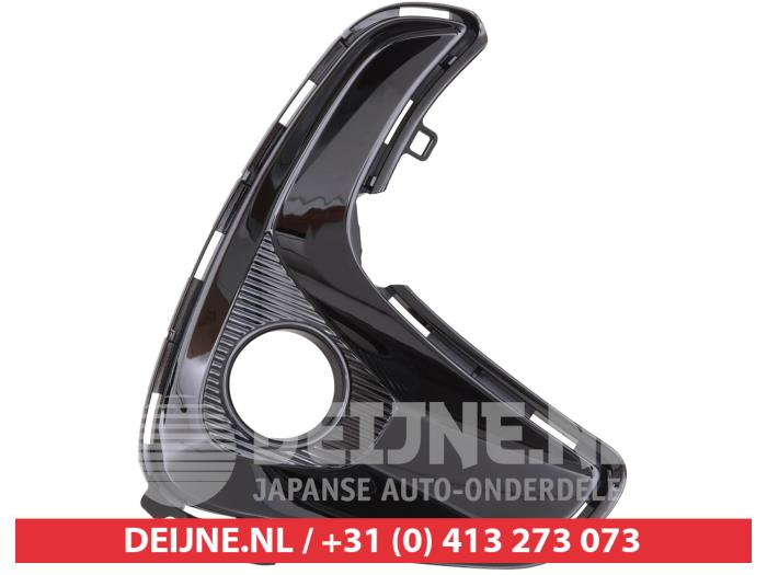 Toyota Yaris Stoßstangenrost O9990009969