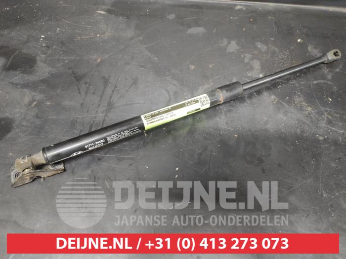 Hyundai Santafe Gasdämpfer links hinten O728826