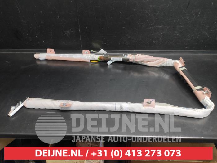 Kia Niro Airbag hemel links O730709