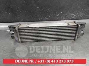 Ssang Yong Rexton Intercooler O732405 foto 2
