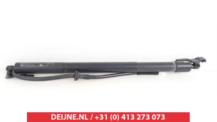 Toyota Corolla Cross Rear gas strut, left O9990010096