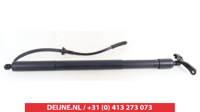 Toyota Corolla Cross Rear gas strut, right O9990010097
