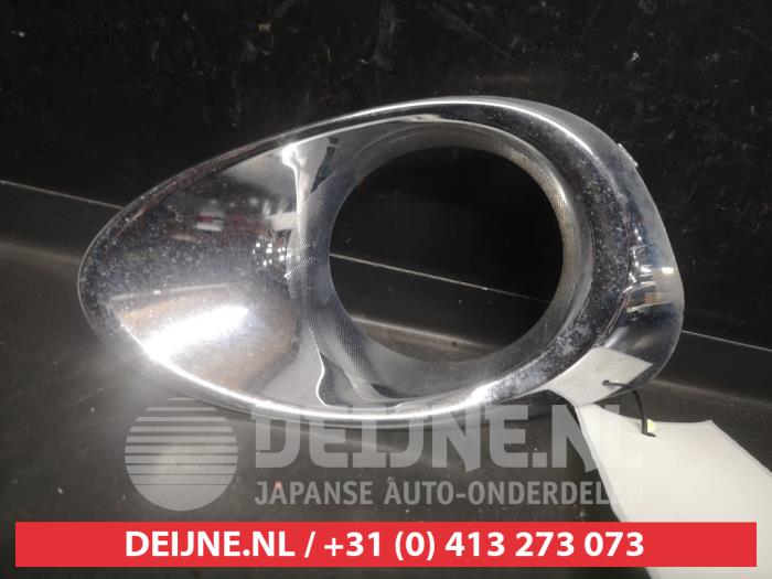 Lexus RX Bumper Rooster O736651
