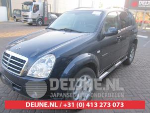 Ssang Yong Rexton Tür 4-türig links hinten O285307 foto 3
