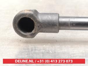 Toyota Yaris Gasdämpfer rechts hinten O295519 foto 3