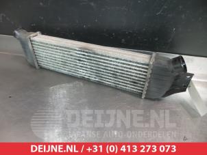 Ssang Yong Rodius Intercooler O339299 foto 3