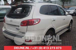 Hyundai Santafe Tür 4-türig rechts hinten O286111 foto 2