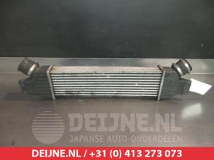 Ssang Yong Rodius Intercooler O339300 foto 2