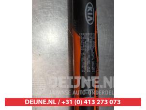 Kia Picanto Rear gas strut, left O293948 photo 4