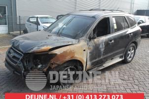 Hyundai Santafe Portier 4Deurs links-achter O284890 foto 2