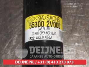 Hyundai Veloster Rear shock absorber, right O379162 photo 3