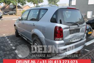 Ssang Yong Rexton Tür 4-türig links hinten O285305 foto 2