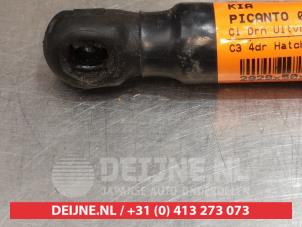 Kia Picanto Gasdämpfer rechts hinten O294981 foto 2