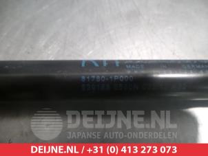 Kia Venga Gasdämpfer rechts hinten O294969 foto 2