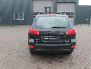 Hyundai Santafe Tailgate O295850 photo 3