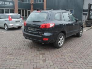 Hyundai Santafe Tailgate O295850 photo 2