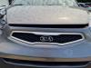 Kia Picanto (TA) 1.0 12V Grille