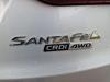 Hyundai Santa Fe III (DM) 2.2 CRDi R 16V 4x4 Spoorstang rechts