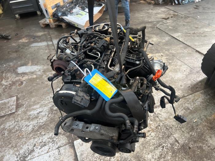 Gebruikte Motor Volkswagen Golf VI Variant (AJ5/1KA) 1.6 TDI 16V 105 Prijs € 1.210,00 Inclusief btw aangeboden door Autosloperij de Turk