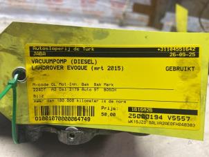 Gebruikte Vacuumpomp (Diesel) Landrover Range Rover Evoque (LVJ/LVS) 2.2 SD4 16V Prijs € 60,50 Inclusief btw aangeboden door Autosloperij de Turk