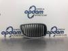 BMW 1-Serie 03- Grille