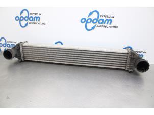 Gebruikte Intercooler Mercedes A (W169) 2.0 A-160 CDI 16V 5-Drs. Prijs op aanvraag aangeboden door Gebr Opdam B.V.