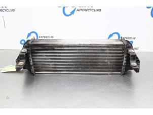 Gebruikte Intercooler Ford Transit Connect 1.8 TDdi LWB Euro 4 Prijs op aanvraag aangeboden door Gebr Opdam B.V.