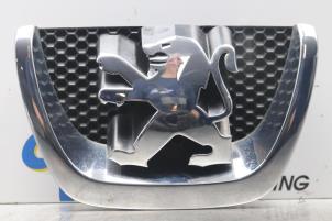 Gebruikte Grille Peugeot 206+ (2L/M) 1.4 XS Prijs € 25,00 Margeregeling aangeboden door Gebr Opdam B.V.