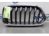 Grille van een BMW X2 (F39), 2017 / 2023 xDrive 20d 2.0 16V, SUV, Diesel, 1.995cc, 140kW (190pk), 4x4, B47C20B, 2017-11 / 2023-10, YL11; YL12 2018