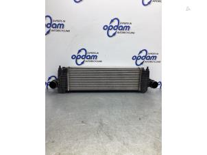 Gebruikte Intercooler Iveco Daily Prijs € 332,75 Inclusief btw aangeboden door Gebr Opdam B.V.
