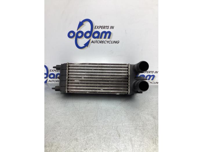 Gebruikte Intercooler Peugeot 508 SW (8E/8U) 1.6 HDiF 16V Prijs € 64,00 Margeregeling aangeboden door Gebr Opdam B.V.
