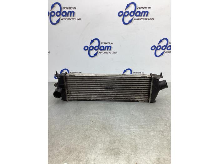 Gebruikte Intercooler Renault Trafic New (FL) 2.5 dCi 16V 115 FAP Prijs € 34,00 Margeregeling aangeboden door Gebr Opdam B.V.