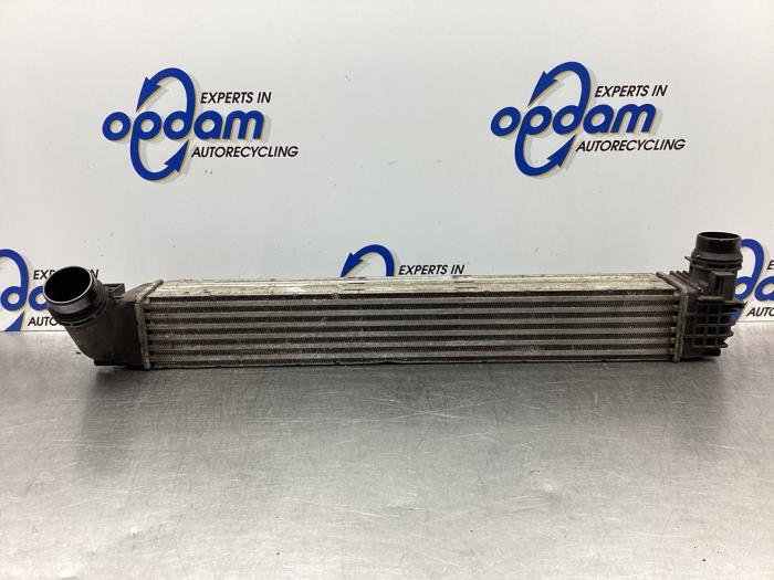 Gebruikte Intercooler Renault Scénic III (JZ) 1.4 16V TCe 130 Prijs € 42,00 Margeregeling aangeboden door Gebr Opdam B.V.