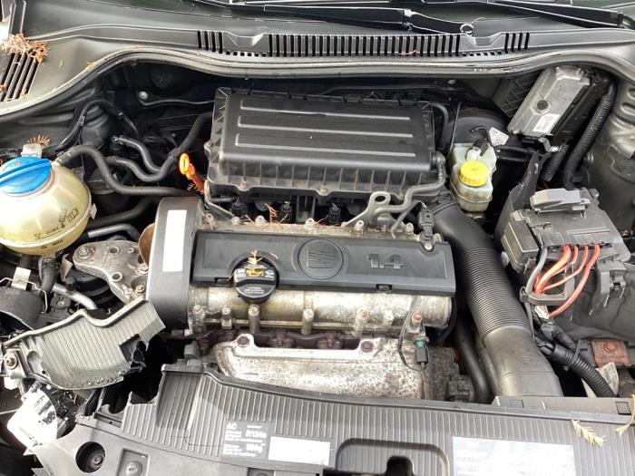 Gebruikte Motor Seat Ibiza IV SC (6J1) 1.4 16V Prijs € 510,00 Margeregeling aangeboden door Gebr Opdam B.V.