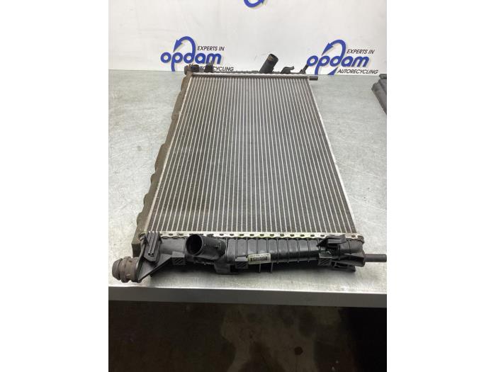 Gebruikte Radiateur Ford Focus 2 C+C 1.6 16V Prijs € 34,00 Margeregeling aangeboden door Gebr Opdam B.V.
