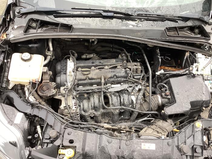 Gebruikte Motor Ford Focus 3 Wagon 1.6 Ti-VCT 16V 125 Prijs € 1.062,00 Margeregeling aangeboden door Gebr Opdam B.V.