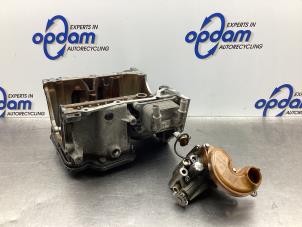 Gebruikte Carterpan Renault Clio IV (5R) 0.9 Energy TCE 90 12V Prijs € 85,00 Margeregeling aangeboden door Gebr Opdam B.V.