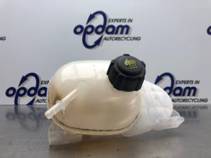 Gebruikte Expansievat Renault Twingo III (AH) 1.0 SCe 70 12V Prijs € 30,00 Margeregeling aangeboden door Gebr Opdam B.V.