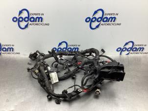 Gebruikte Kabelboom motorruimte Ford Fiesta 7 1.0 EcoBoost 12V 100 Prijs € 125,00 Margeregeling aangeboden door Gebr Opdam B.V.