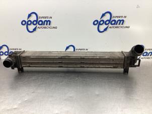 Gebruikte Intercooler Renault Scénic III (JZ) 1.4 16V TCe 130 Prijs € 90,00 Margeregeling aangeboden door Gebr Opdam B.V.