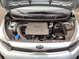 Gebruikte Motor Kia Picanto (JA) 1.0 12V Prijs € 950,00 Margeregeling aangeboden door Gebr Opdam B.V.