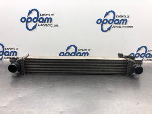 Gebruikte Intercooler Fiat Fiorino (225) 1.3 JTD 16V Multijet Prijs € 54,00 Margeregeling aangeboden door Gebr Opdam B.V.