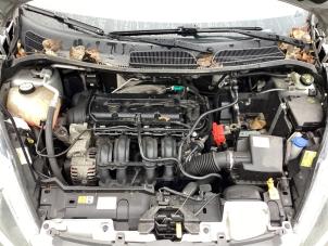 Gebruikte Motor Ford Fiesta 6 (JA8) 1.25 16V Prijs € 700,00 Margeregeling aangeboden door Gebr Opdam B.V.