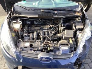 Gebruikte Motor Ford Fiesta 6 (JA8) 1.25 16V Prijs € 600,00 Margeregeling aangeboden door Gebr Opdam B.V.