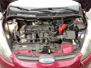 Gebruikte Motor Ford Fiesta 6 (JA8) 1.25 16V Prijs € 675,00 Margeregeling aangeboden door Gebr Opdam B.V.