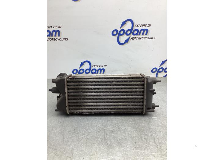 Gebruikte Intercooler Ford Fiesta 6 (JA8) 1.25 16V Prijs € 50,00 Margeregeling aangeboden door Gebr Opdam B.V.