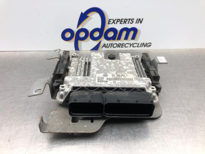 Gebruikte Computer Motormanagement Volkswagen Touran (1T1/T2) 1.6 FSI 16V Prijs € 158,00 Margeregeling aangeboden door Gebr Opdam B.V.